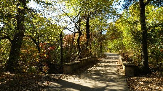 Walking trail at Arbor Hills Nature Preserve